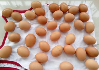 怎样腌制咸鸡蛋1