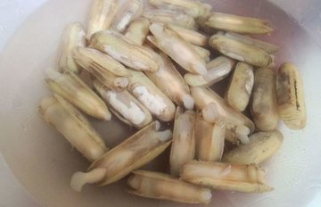 蛏子的做法1