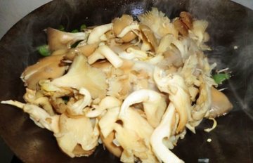 炒平菇4
