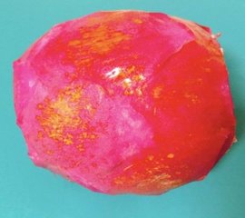 水果拼盘图片及做法2