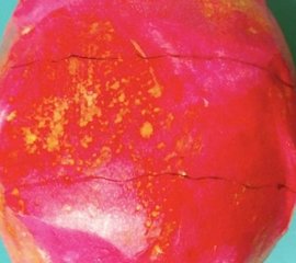 水果拼盘图片及做法3