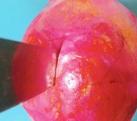 水果拼盘图片及做法4