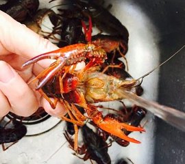 大龙虾的做法5