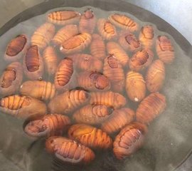 蚕蛹的做法4