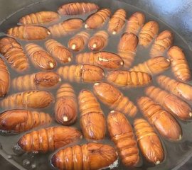 蚕蛹的做法5