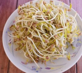 豆芽的做法1
