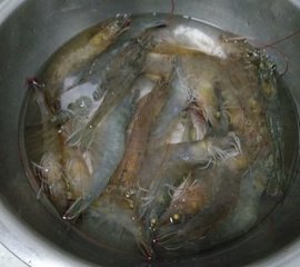 水煮虾的做法1