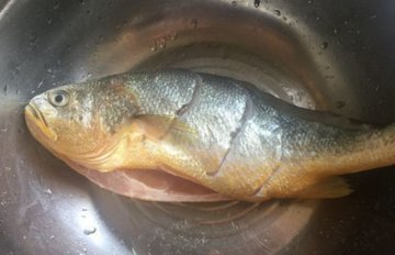 黄花鱼的做法1