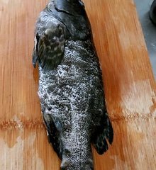 石斑鱼的做法1