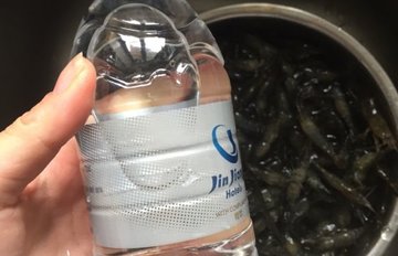 醉虾的做法和调料2