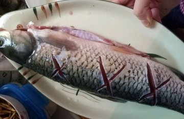 红烧草鱼的家常做法1