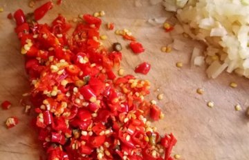 红烧草鱼的家常做法2