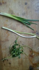 热汤面条做法大全1