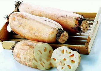 挑选莲藕不要只知道挑粗的！还需注意这几点，挑到品质更好的莲藕4