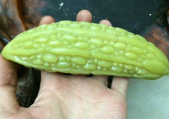 夏季不妨多吃，湿气的“克星”，排净体内湿毒3