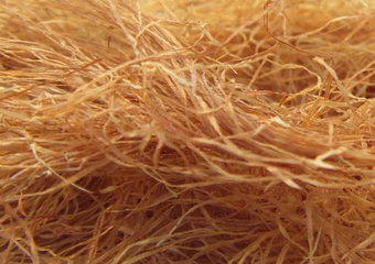 夏季不妨多吃，湿气的“克星”，排净体内湿毒4