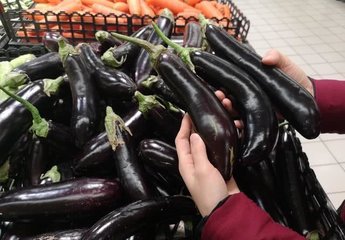 挑茄子的窍门，挑“直”还是“弯”？1