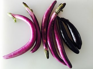 挑茄子的窍门，挑“直”还是“弯”？2