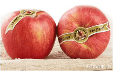 大鱼号：盘点那些价格昂贵的水果5