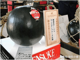 大鱼号：盘点那些价格昂贵的水果7