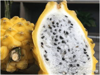 大鱼号：盘点那些价格昂贵的水果8