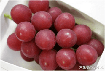 大鱼号：盘点那些价格昂贵的水果9