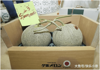 大鱼号：盘点那些价格昂贵的水果10