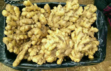 夏天如果想要健康吃生姜，您需要知道这件事！ 1