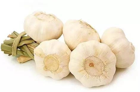 网络看到的日本人长寿吃的食谱曝光1