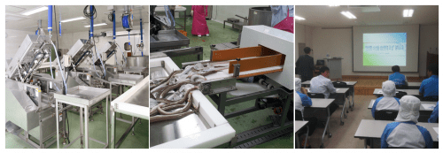 K·FISH烹饪课堂惊喜不断，七月课程圆满结束，八月等你来玩4