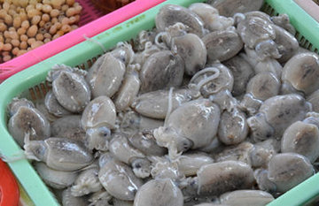 墨鱼仔怎么清洗3