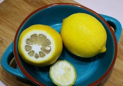 同样是柠檬，青柠檬和黄柠檬可别再用错了3