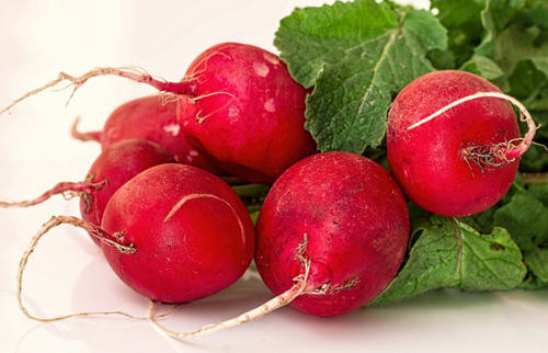 甜菜根和萝卜的图片区别图解，甜菜根不是萝卜2