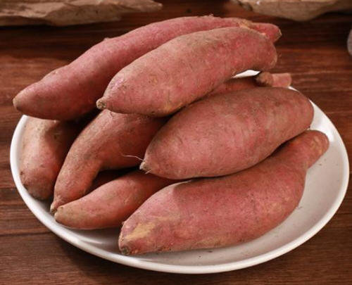 山芋是什么？生活中人们常说的山芋是什么东西？2