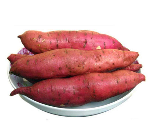 山芋是什么？生活中人们常说的山芋是什么东西？3