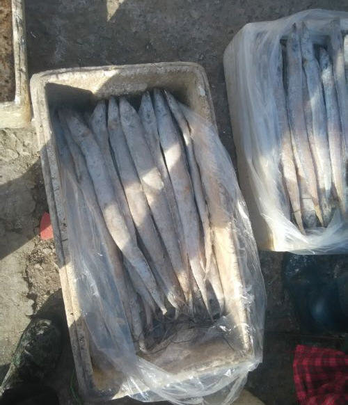 带鱼怎么收拾-处理方法图解1