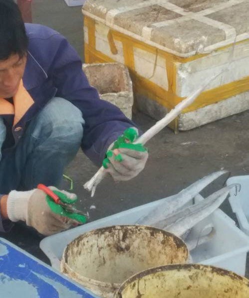 带鱼怎么收拾-处理方法图解3