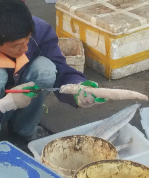 带鱼怎么收拾-处理方法图解4