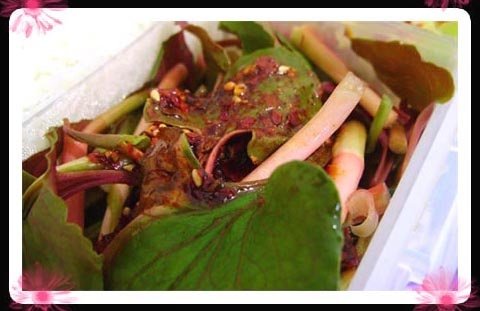 整合60种简单好吃的爱心盒饭制作方法55