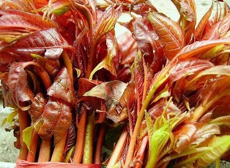 整合60种简单好吃的爱心盒饭制作方法90