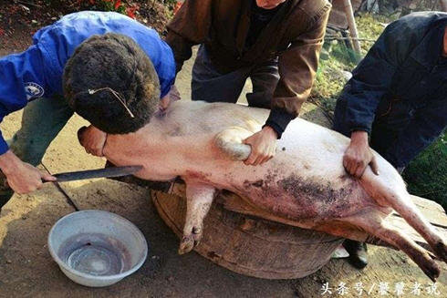 什么是杀猪菜-东北杀猪菜都有啥2
