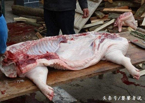 什么是杀猪菜-东北杀猪菜都有啥3