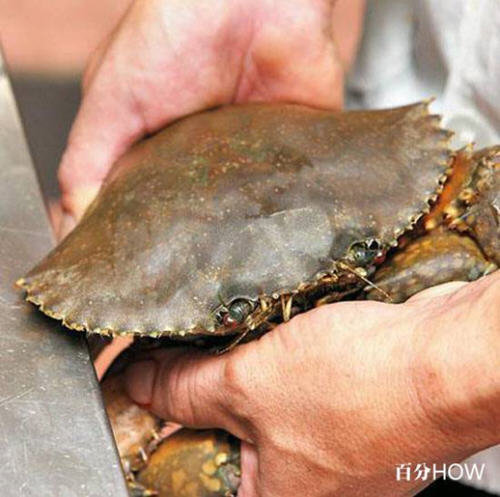 螃蟹怎么杀-螃蟹的杀法图解教程2