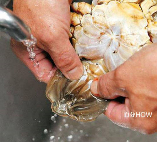 螃蟹怎么杀-螃蟹的杀法图解教程5