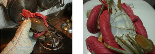 螃蟹怎么杀-螃蟹的杀法图解教程9