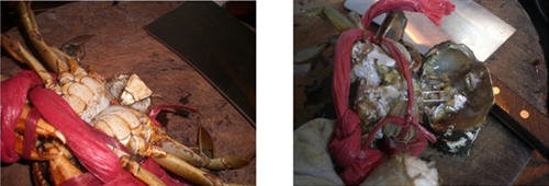 螃蟹怎么杀-螃蟹的杀法图解教程10