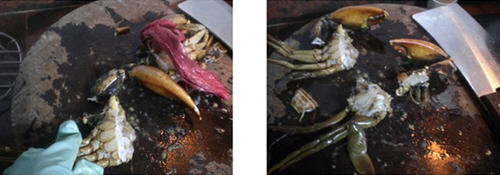 螃蟹怎么杀-螃蟹的杀法图解教程12