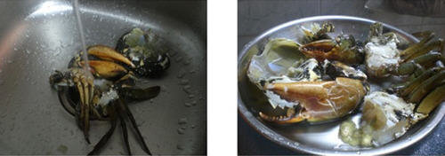 螃蟹怎么杀-螃蟹的杀法图解教程13