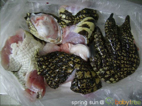 鳄鱼肉煲汤治咳嗽的做法-鳄鱼肉煲汤治咳嗽治哮喘怎么煮1