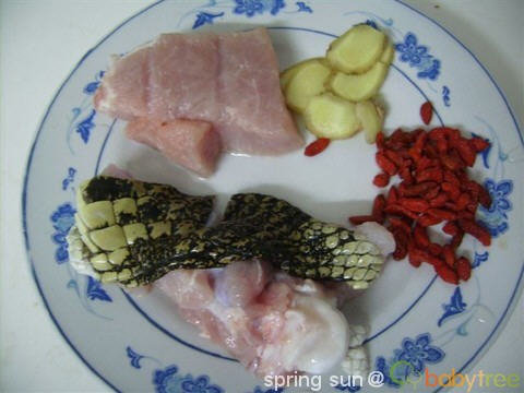 鳄鱼肉煲汤治咳嗽的做法-鳄鱼肉煲汤治咳嗽治哮喘怎么煮2